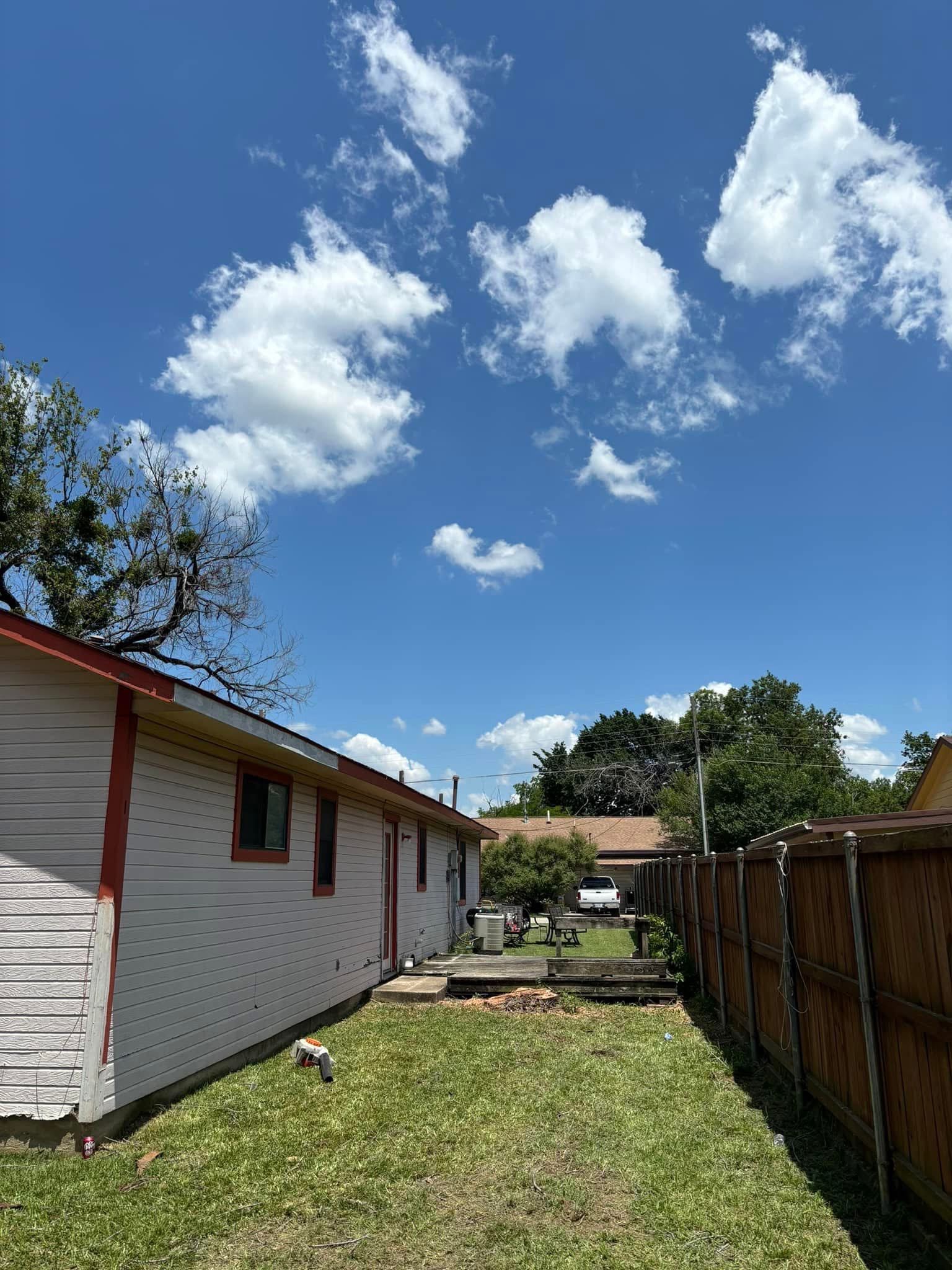 After tree service